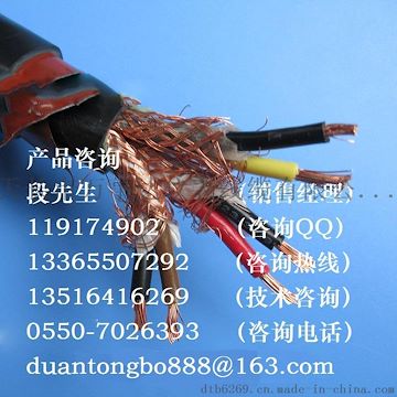 ZRA-DJFFRP22阻燃鎧裝計算機屏蔽電纜